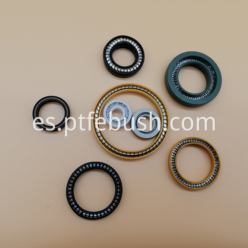 Spring Energized Seal 15